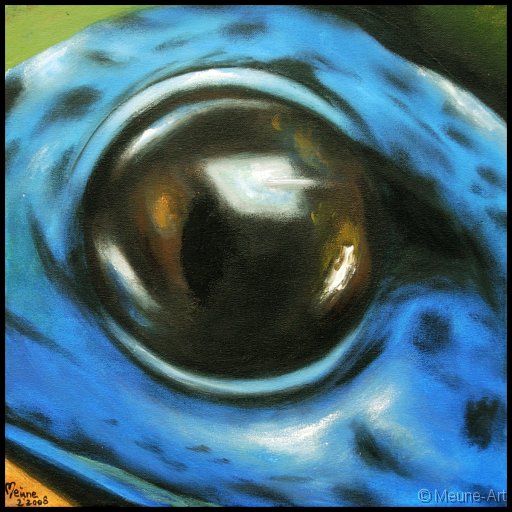 Augenblick eines blauen Pfeilgiftfrosches Acryl auf Leinwand;
30 x 30 cm